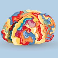 Colourful Brain