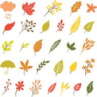 autumn leaves N22