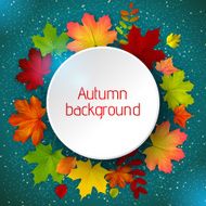 Round border of various autumn leaves on blue