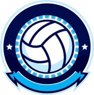 Volleyball design with stars N2