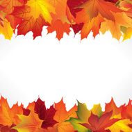 Autumn frame with leaves Fall seamless border background copy space