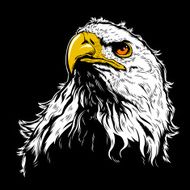 White Eagle Head