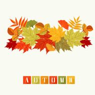 Background With Autumn Leaves