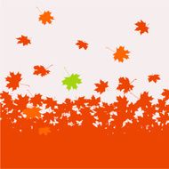 Autumn background - maple leaves N2