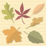 autumn leaves N23