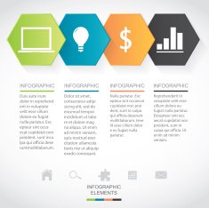 Modern Infographic N6