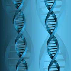 DNA molecule structure background N23