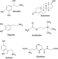 Chemical formulas of neurotransmitters and similar substances in human body
