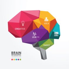 Vector Brain Design Conceptual Polygon Style Abstract vector