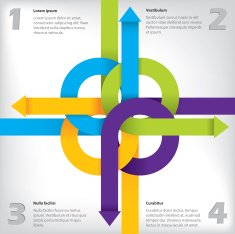 Infographic design with options and details