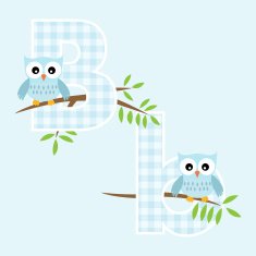 Alphabet for baby boy with owl vector letters B N2