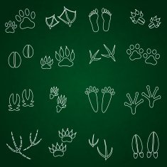 basic animal footprints outline icons set eps10