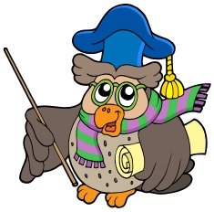 Owl teacher with parchment