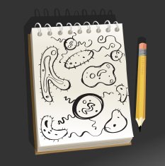 Sketchpad - Single Celled Organisms