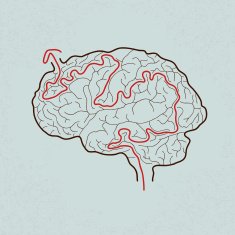 brain maze with correct path N3