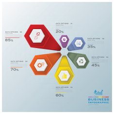 Modern Hexagon Business Infographic N7