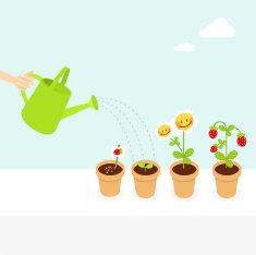 Strawberry plant stages (nature series)
