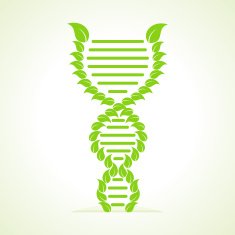 Ecology concept- leafs make a DNA strand