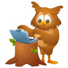 owl - operating a laptop