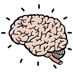 Human Brain N42