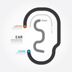 infographic Template with ear line banner concept vector illus