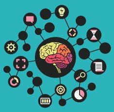 Human resources of brain Functions and analytical thinking