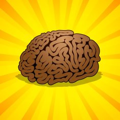 Inspiration from Brain
