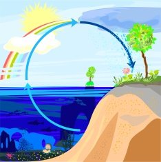 Water cycle in nature N6