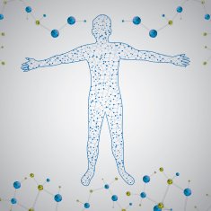 Molecule man human body abstract vector illustration N2