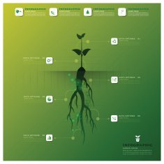 Tree And Root Infographic Design Template