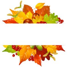 Vector Autumn Frame With Fall Leaf Chestnut Acorn And Ashberry N3