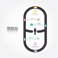 infographics vector medical capsule design diagram line style N2