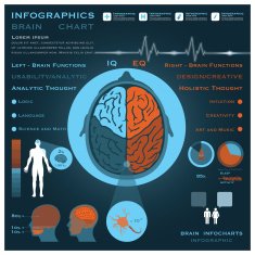 Brain Infographic Infocharts Health And Medical