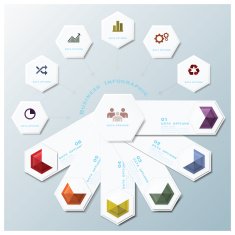 Hexagon Geometric Shape Business Infographic Design Template N4