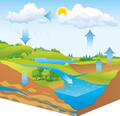 Vector schematic representation of the water cycle in nature