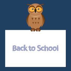 funny owl on a blue background
