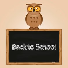 funny owl with school board N8