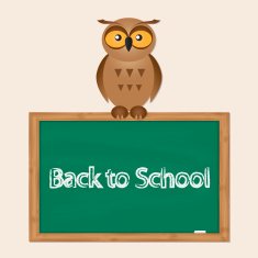 funny owl with school board N10