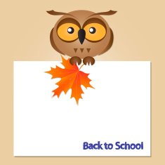 funny owl card N2