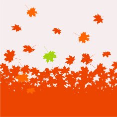 Autumn background - maple leaves N2