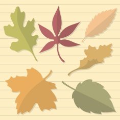 autumn leaves N23