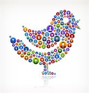 Bird People Faces Community and Communication Pattern