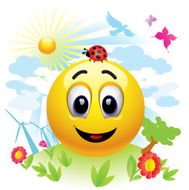 Smiley ball N48