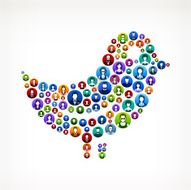 Bird People Faces Community and Communication Pattern N2