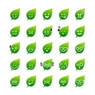 Collection of difference emoticon icon leaf on the white N3