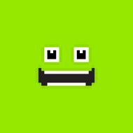 Pixel Face N2