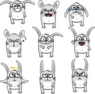 Funny rabbits