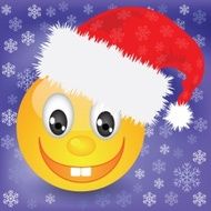 smile in a Christmas hat