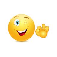 Smiley emoticon with ok sign N2