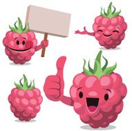 Raspberry Cartoon Set C